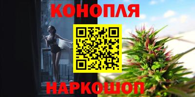 прущие крисы Краснознаменск