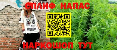 гашик Краснодар